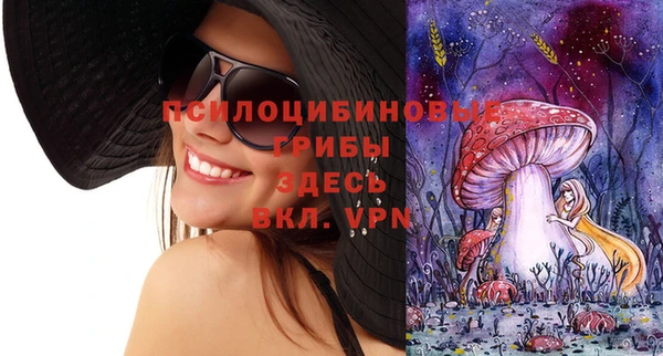 таблы Алексин