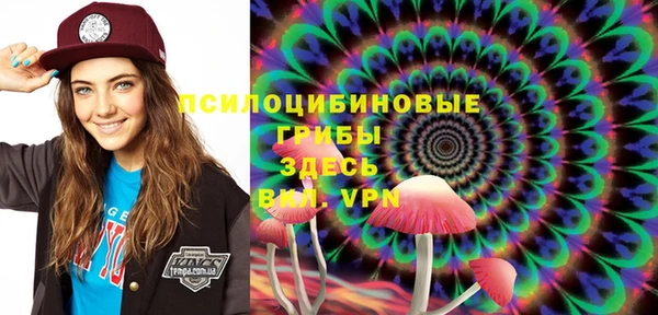 эйфоретик Карпинск