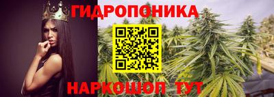 хмурый Гусев