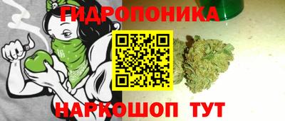 хмурый Гусев