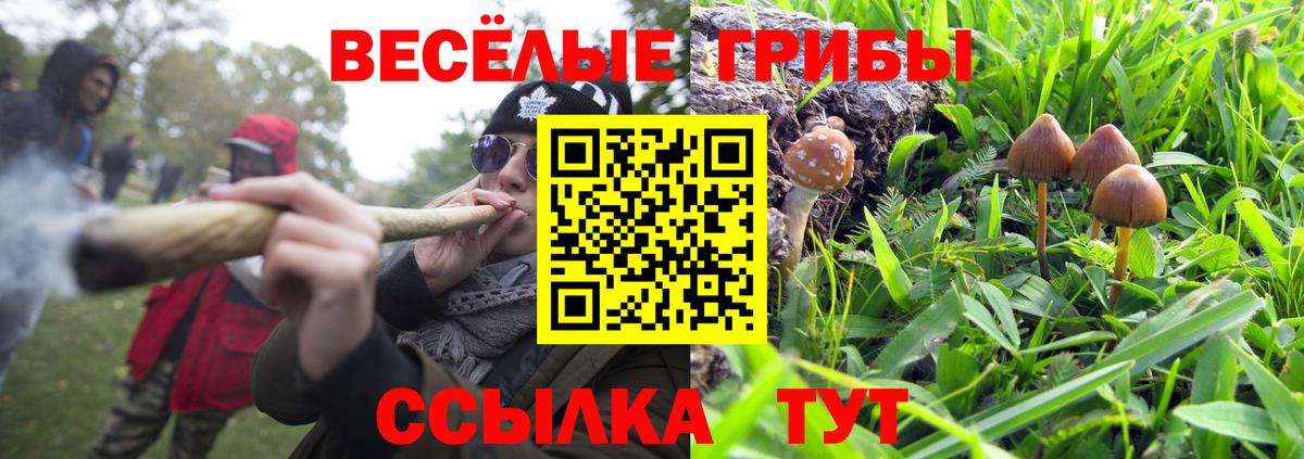 Галлюциногенные грибы Cubensis Заводоуковск