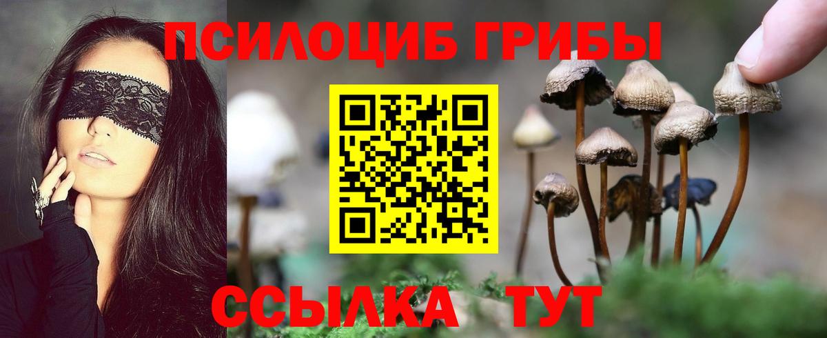 Галлюциногенные грибы Psilocybe  Вход с VPN  Заводоуковск 